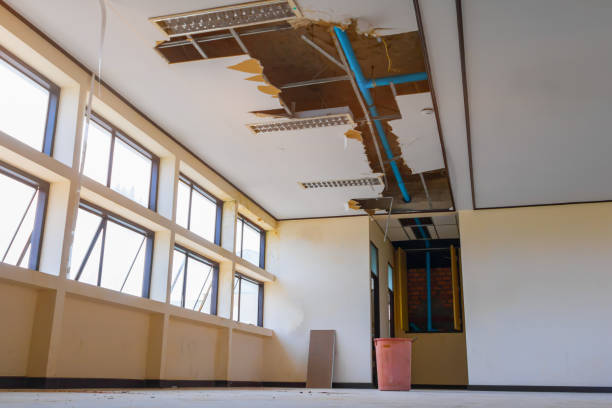 Best Flooded house restoration  in Suisun City, CA