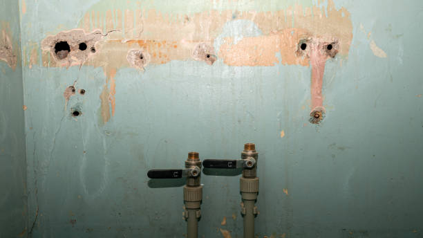 Best Water damage restoration near me  in Suisun City, CA